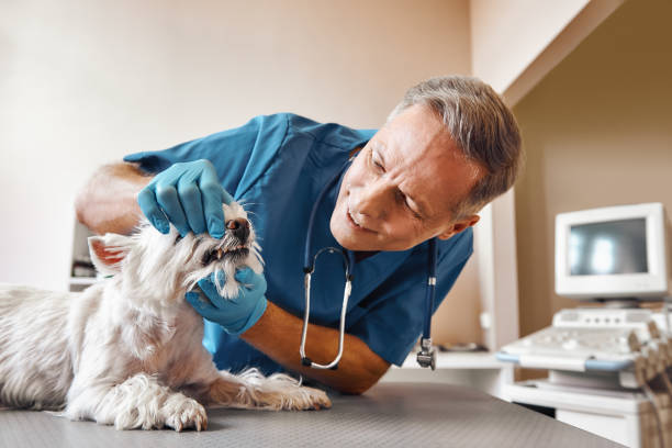 Best Broken Tooth Emergency  in Newark, IL